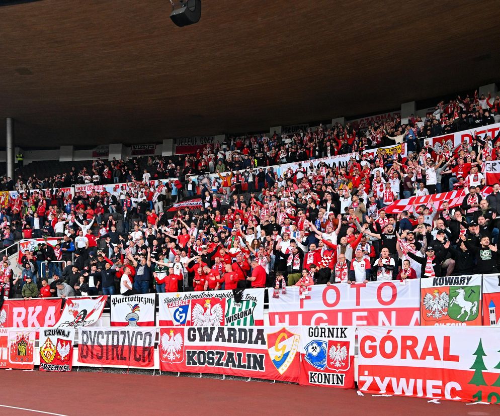 Kibice na meczu Finlandia - Polska: Wielkie racowisko