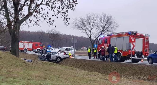 Książ Wielki. Tragiczny wypadek na DK-7. Nie żyją dwie osoby [ZDJĘCIA]