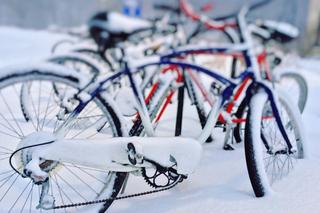 Jutro Międzynarodowy Dzień Dojeżdżania Rowerem do Pracy Zimą - Dlaczego warto z nich korzystać o każdej porze roku?