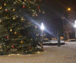 Świąteczne iluminacje w Olsztynie zachwycają. Prawdziwą „gwiazdą” jest choinka na starówce [ZDJĘCIA]