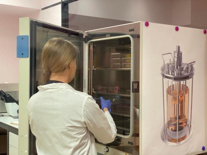 LabFarm pracuje nad hodowlą pierwszego polskiego mięsa komórkowego