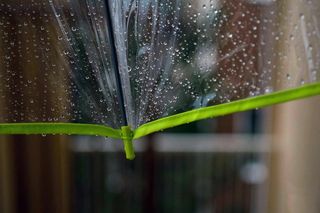 Pogoda na Łódź Summer Festival 2025. Meteorolodzy ostrzegają przed możliwymi burzami