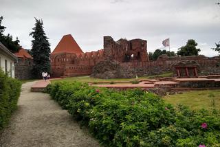Zamek krzyżacki w Toruniu