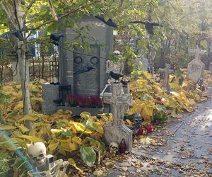 Willa na Jaśkowej Dolinie w Gdańsku znów straszy! Tegoroczny motyw Halloween budzi niepokój