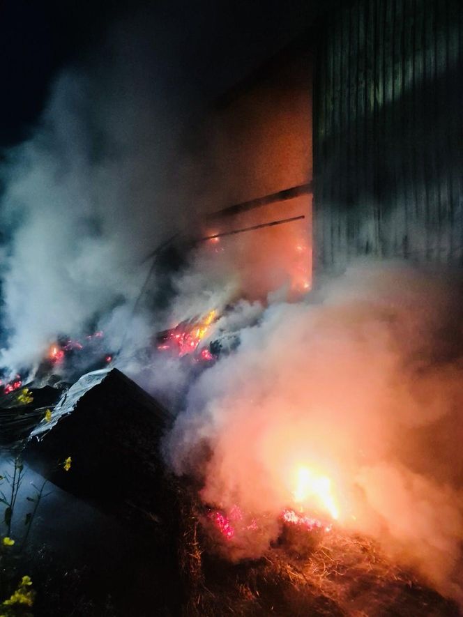 Pożar w Andrzejkach. Strażacy walczyli o uratowanie zwierząt i domu