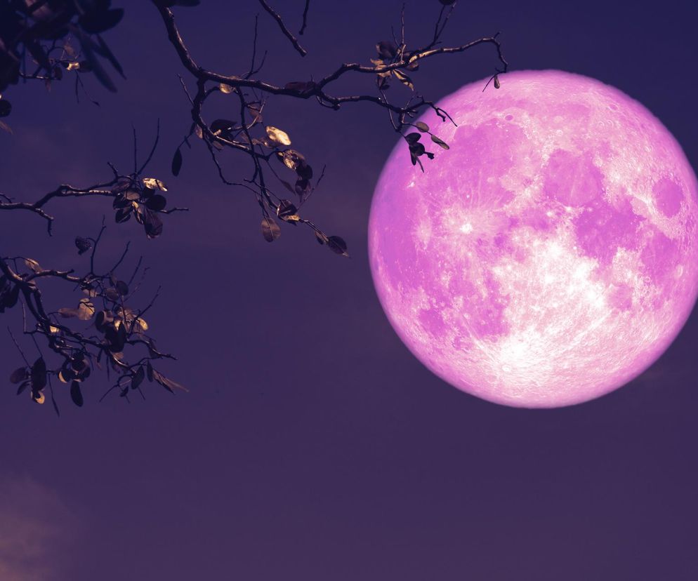 Pełnia Księżyca w kwietniu jest nazywana Różową Pełnią