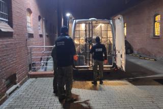 Strażnicy zatrzymali kuriera i jego przesyłkę. Na pace przewoził nie tylko paczki