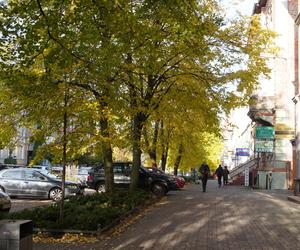 Kolorowe drzewa i klimatyczne kamienice. Ta ulica w Olsztynie zachwyca jesienią