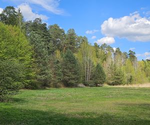 Stadion Leśny w Olsztynie dawniej i dziś. To tam bito rekordy świata w lekkiej atletyce