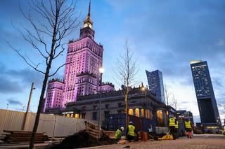 Powstała nowa ulica z drzewami w centrum stolicy. Nie pojedziesz nią