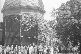 ZOO Wrocław w latach 50. XX wieku. Zobacz, jak wyglądało otwarcie zoo we Wrocławiu [ZDJĘCIA]