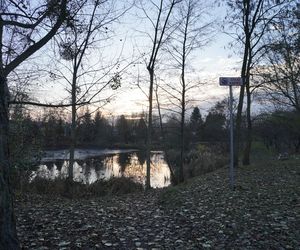 Tu powstanie kolejne miejske do rekreacji w Białymstoku. Tak obecnie wygląda staw przy Bema