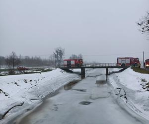  W wigilijny poranek strażacy z powiatu łęczyńskiego uratowali bobry, które utknęły na zaporze