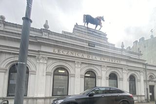 Lecznica „Pod Koniem” w Łodzi