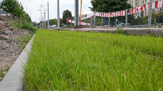 Prace modernizacyjne w centrum Torunia. Tak wyglądają pod koniec września