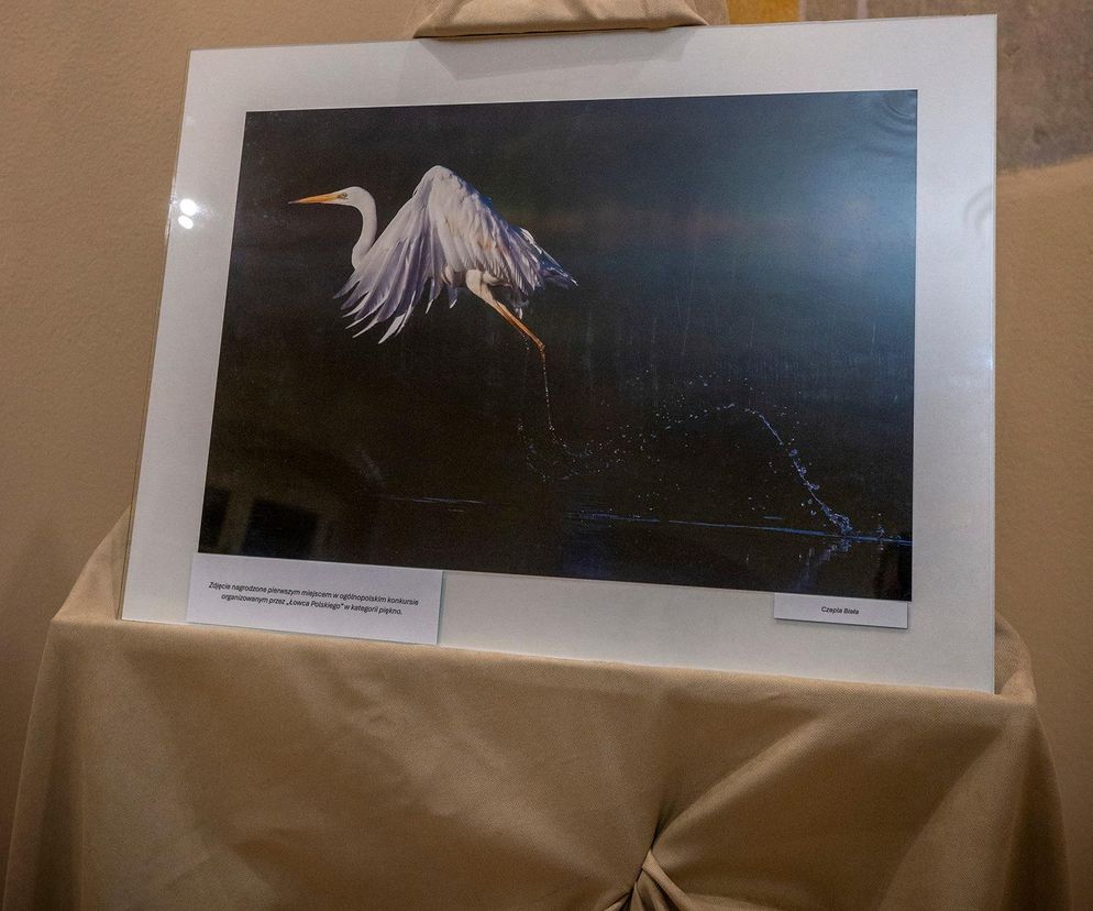 Wystawa fotografii przyrodniczej w Koźminku