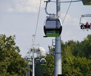 Park Śląski: Elka zaprasza na urodziny. Wyjątkowa okazja dla Elżbiet i rodzin
