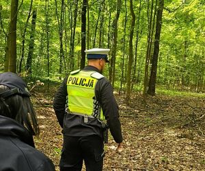 Zaginiona dziewczynka z Dziewkowic odnaleziona. Policja zatrzymała mężczyznę