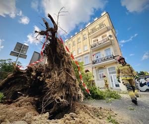 Drzewo runęło na ulicę Bernardyńską w Lublinie