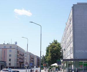 5. Ogrody 