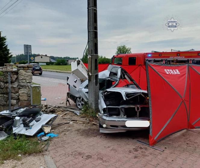 Ania i Olaf bawili się na dniach Kłobucka. On popijał. Wracają wypadli z drogi. 18-latka zginęła na miejscu 