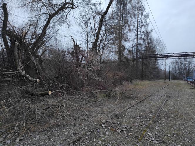 Opuszczona linia tramwajowa do Walcowni