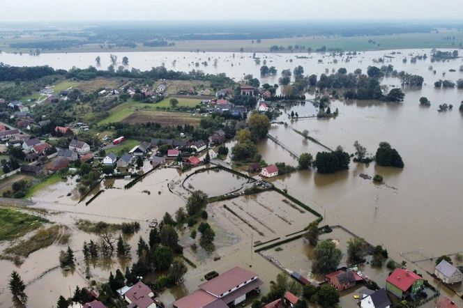 Zalana Osiecznica gm. Krosno Odrzańskie