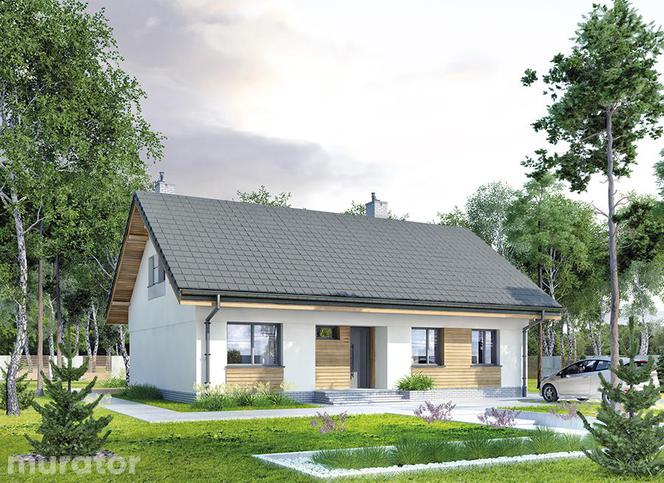 Projekt domu z poddaszem do adaptacji