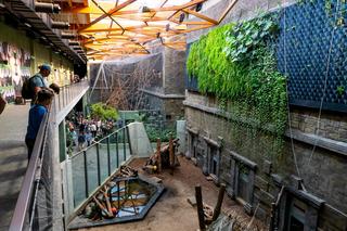 Orientarium ZOO Łódź. Kiedy są kąpiele słoni? Ile kosztują bilety w 2023?