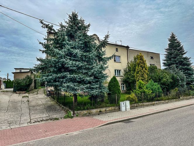 Makabra na grillu. Zadźgał pasierba, ranił partnerkę