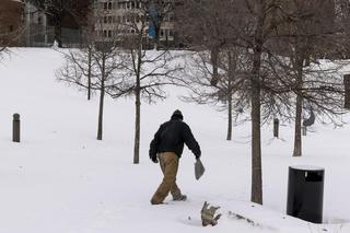 Śnieg i mróz zaatakował w USA. Takiej pogody nie było już dawno