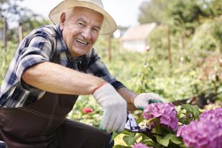 Hobby na emeryturze: 9 pomysłów na kreatywne zajęcia