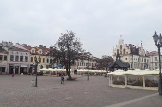 Ogródki na rynku w Rzeszowie już dostępne