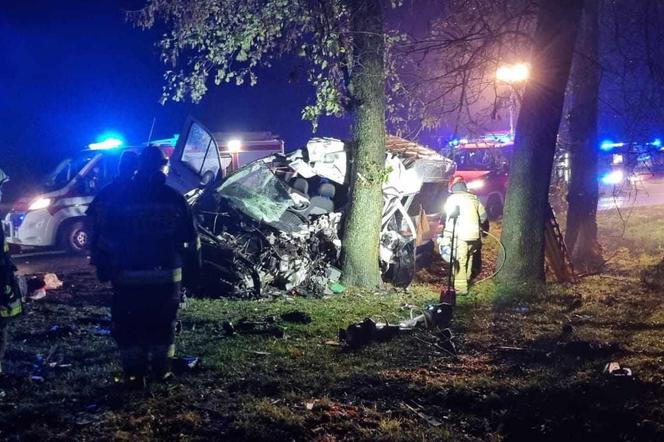 Tragiczny wypadek busa na Lubelszczyźnie. Nie żyją dwie kobiety i 6-letnie dziecko