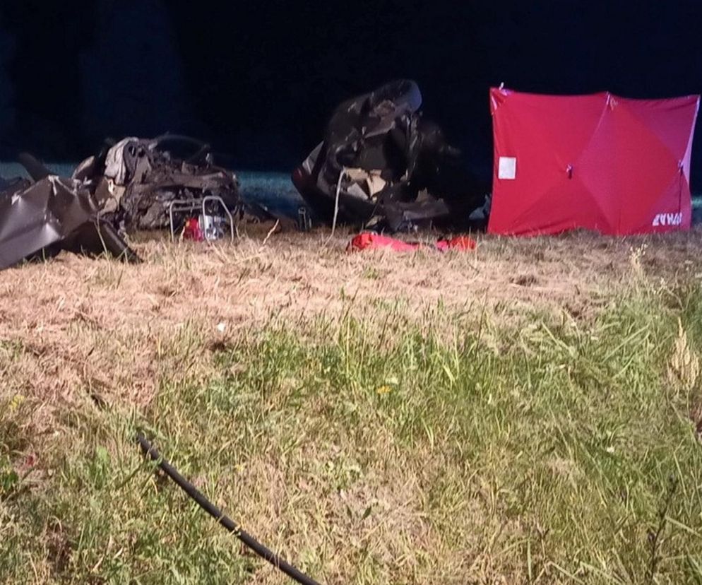 BMW rozerwane na pół! Martwa 19-latka leżała obok, 19-latek w stanie ciężkim. Nocna makabra w Łagowie