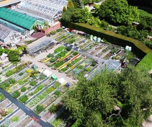 Najpiękniejsze ogrody botaniczne w Polsce. Idealne na majówkowy spacer i chwilę relaksu
