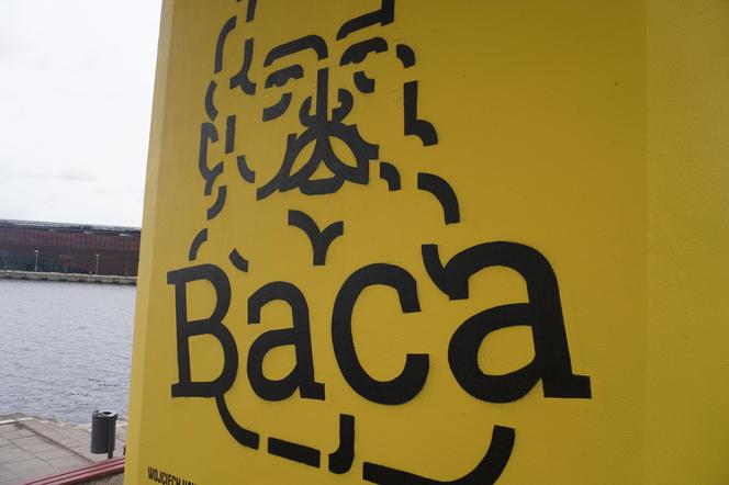 Mural "Bacy"