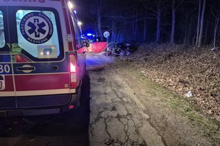 Śmiertelny wypadek pod Iławą. Alfa Romeo rozbiła się na drzewie, zginął młody kierowca