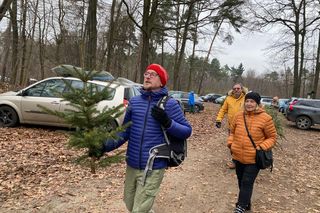 Leśnictwo Grodziec organizuje choinkobranie 2024. Można samemu wyciąć choinkę