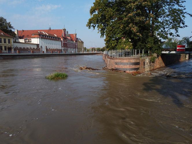 Wrocław. Fala w centrum miasta.