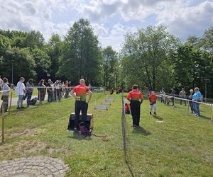 Festiwal Przyjaciół Zwierząt w Olsztynie. Park Centralny opanowały radosne pieski