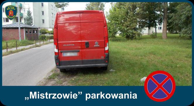 Warszawscy "mistrzowie parkowania"