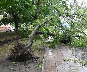 Burze i nawałnice przeszły nad Polską. Strażacy podali miażdżące dane