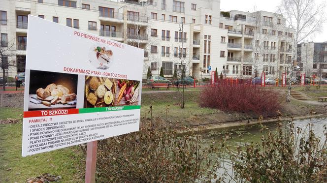 Kaczkomaty w Wilanowie