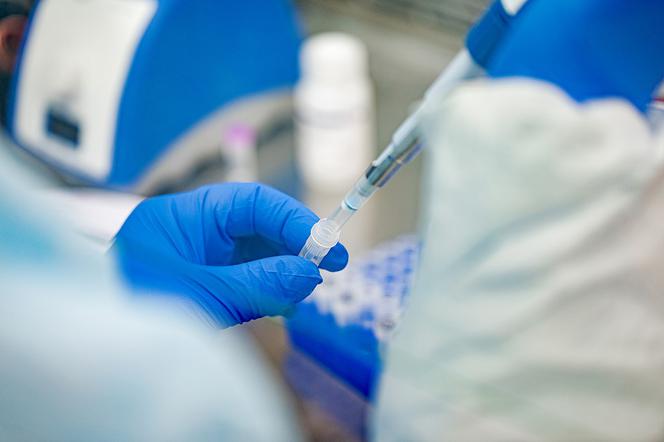 Wariant Lambda koronawirusa w Polsce. Ministerstwo Zdrowia potwierdza trzy pierwsze przypadki 