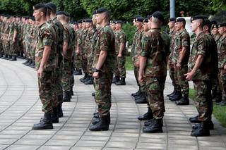 Kolejny kraj ogłosi mobilizację do wojska? Minister obrony mówi o tym wprost