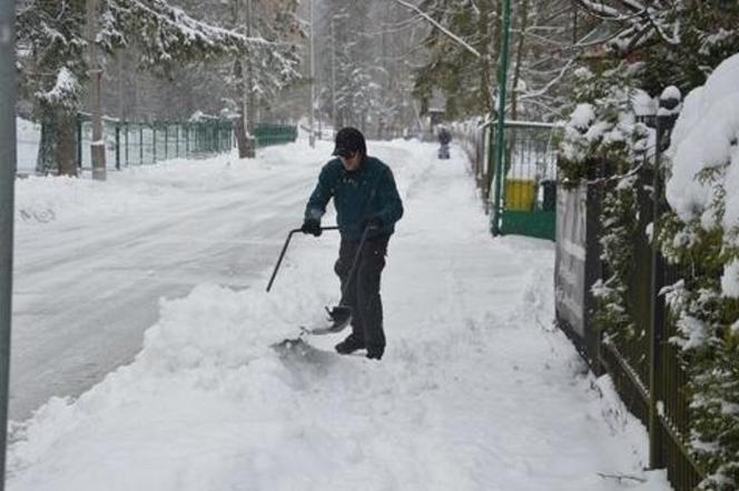 Atak zimy w Polsce - kiedy i gdzie spadnie śnieg?