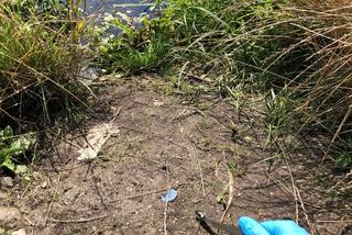 Mieszkaniec Białołęki znalazł pod łóżkiem węża