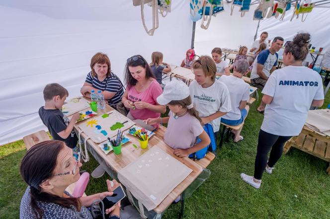 Festiwal Żubra w Mirosławcu