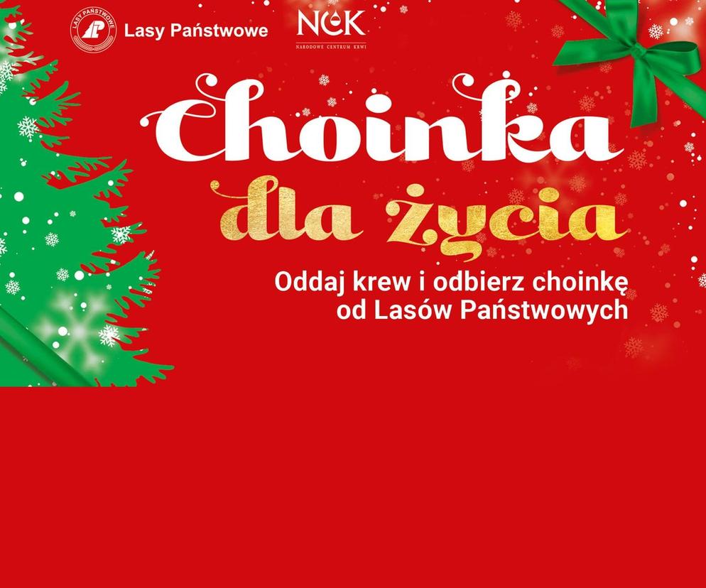 Choinka dla życia. Oddaj krew i odbierz choinkę od Lasów Państwowych